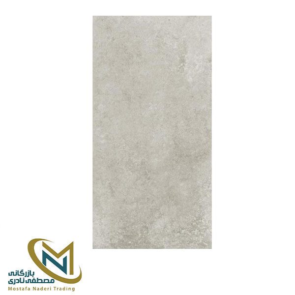 اسلب 120*60 CARVING EFFECTS مدل Evoloution grigio
