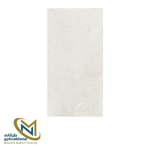 اسلب 120*60 CARVING EFFECTS مدل Evoloution bianco