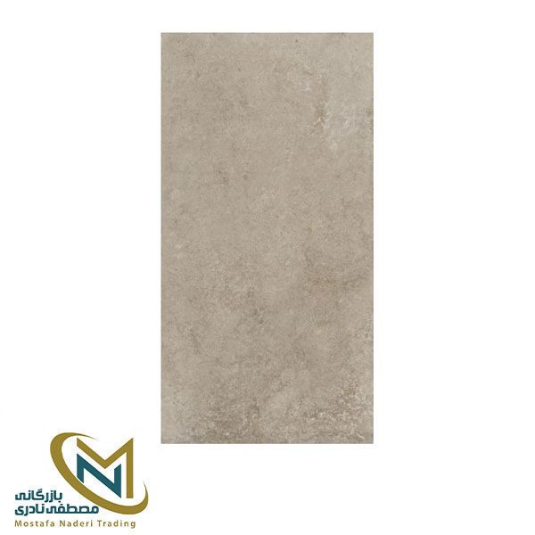 اسلب 120*60 CARVING EFFECTS مدل Evoloution beige