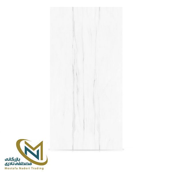 سرامیک 240*120 دکوراتیو نوین پلاس مدل NIEVE ETERNA